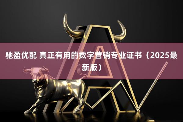 驰盈优配 真正有用的数字营销专业证书（2025最新版）